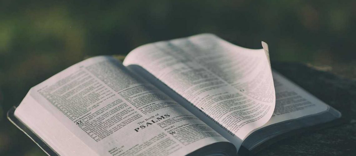 bible, open, book, pages, open bible, psalms, bible reading, faith, religion, prayer, bible verses, chapter, knowledge, literature, outdoors, text, verses, wisdom, bible, bible, bible, bible, bible