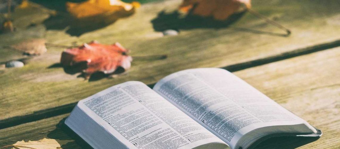 bible, book, pages, open, reading, open bible, bible reading, bible study, chapters, psalms, religion, faith, bible, bible, bible, bible, bible, book