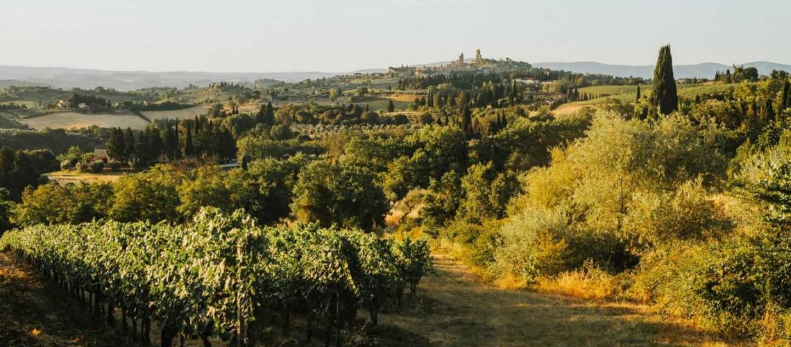 A serene view of rolling vineyards and hills in Tuscany, bathed in warm sunset light.