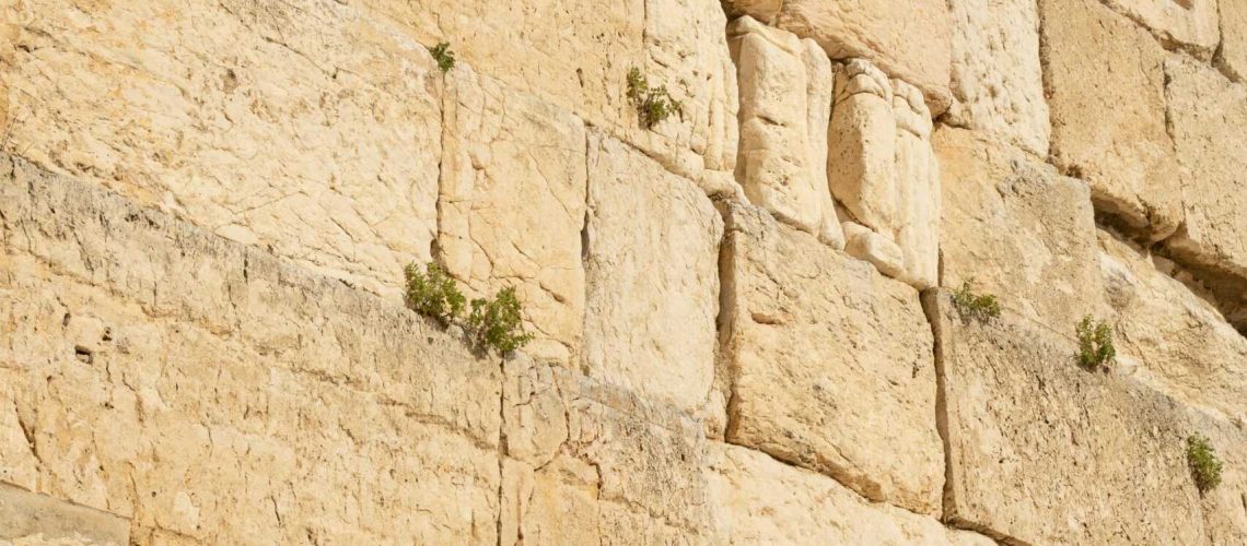 Detailed view of the ancient stones of the Western Wall in Jerusalem.
